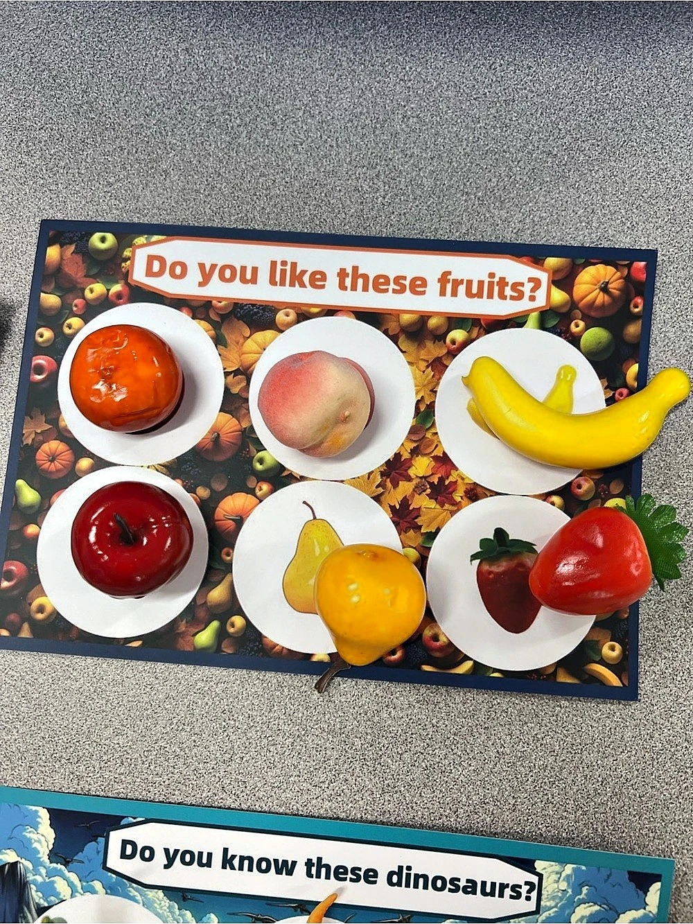 Learning sorting activity - Picture 10 of 13